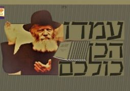 מטה משיח באה"ק • מבצע מיוחד במלאות 30 שנה ל'דידן נצח'